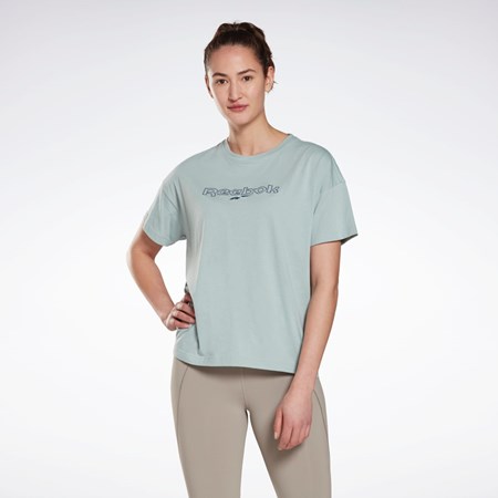 Reebok Brand T-Shirt Szare | PXFW-57469