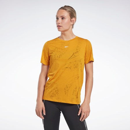 Reebok Burnout T-Shirt Bright Ochre | IOMC-89263