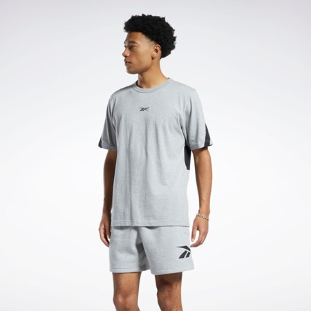 Reebok Classics Brand Proud T-Shirt Szare | TUFV-83176