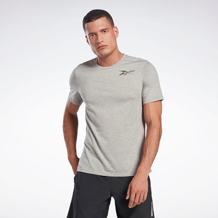 Reebok Grafiką Speedwick Move T-Shirt Szare | GNDC-25169