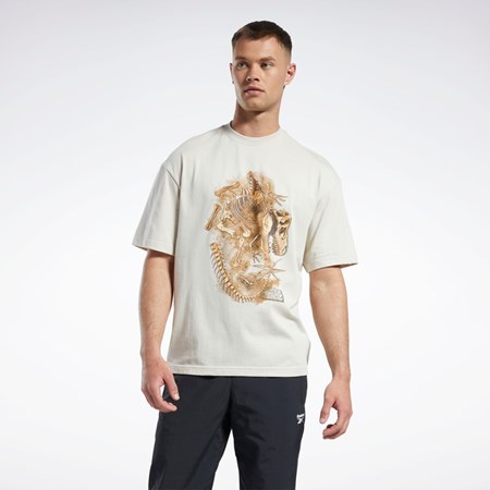 Reebok Jurassic World Fossil T-Shirt Stucco | ZVJB-40597