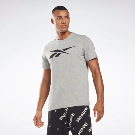 Reebok Reebok Grafiką Series Vector T-Shirt Szare | WNGB-72356