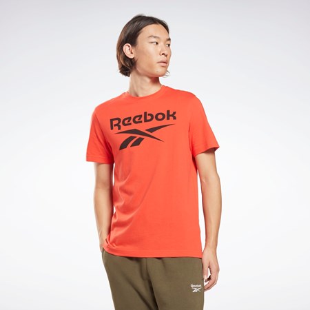 Reebok Reebok Identity Big Logo T-Shirt Czerwone | INKT-61428