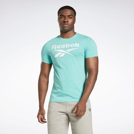 Reebok Reebok Identity Big Logo T-Shirt Semi Classic Teal | IVPO-73641