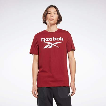 Reebok Reebok Identity Big Logo T-Shirt Bordowe | LAHZ-90412