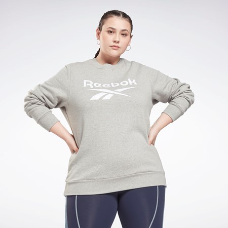 Reebok Reebok Identity Logo Fleece Crew Sweatshirt (Plus Size) Szare | ADGI-53278