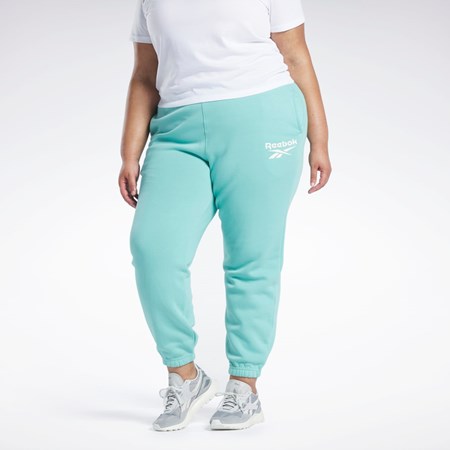 Reebok Reebok Identity Logo Fleece Joggers (Plus Size) Semi Classic Teal | KQOH-70962