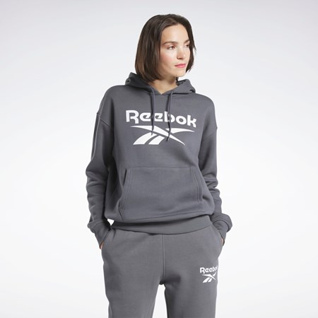 Reebok Reebok Identity Logo Fleece Pullover Hoodie Szare | EZGY-59832