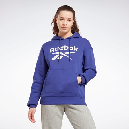 Reebok Reebok Identity Logo Fleece Pullover Hoodie Fioletowe | QLBD-07862