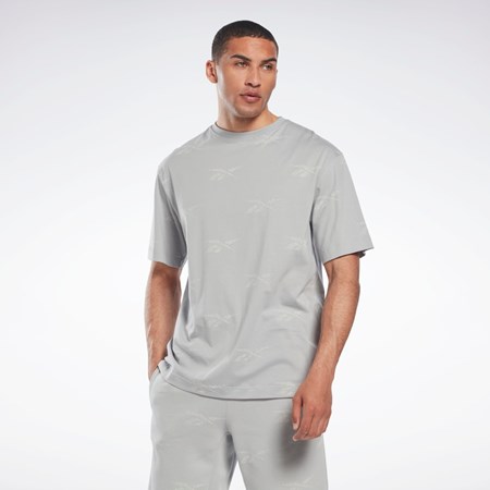 Reebok Reebok Identity Vector T-Shirt Szare | ECFS-47891