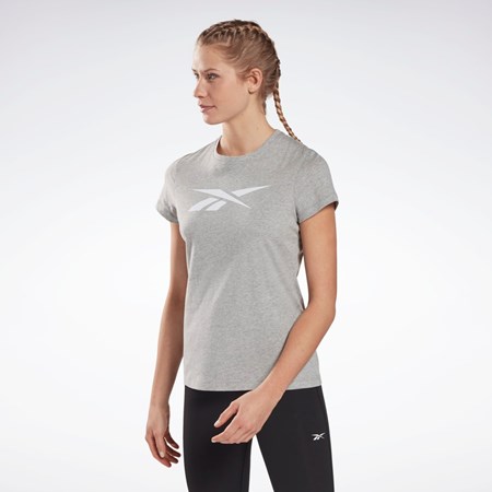 Reebok Treningowe Essentials Vector Grafiką Tee Szare | EKDP-09683