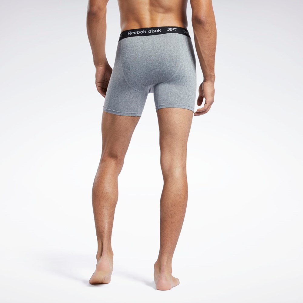 Reebok 3PK PERF BOXER BRIEF - SPORT S Multi | ZGOV-58413