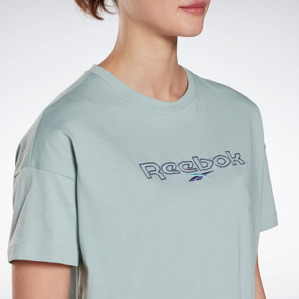 Reebok Brand T-Shirt Szare | PXFW-57469