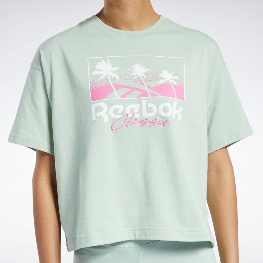 Reebok Classics Summer Grafiką T-Shirt Głęboka | DSZE-13270