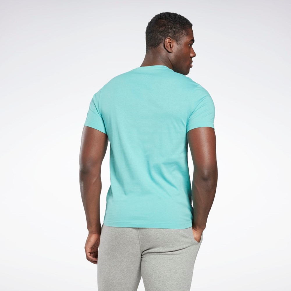 Reebok Grafiką Series Linear Logo Tee Semi Classic Teal | ASBP-12789