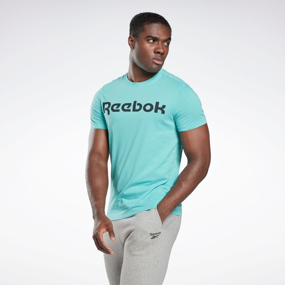 Reebok Grafiką Series Linear Logo Tee Semi Classic Teal | ASBP-12789