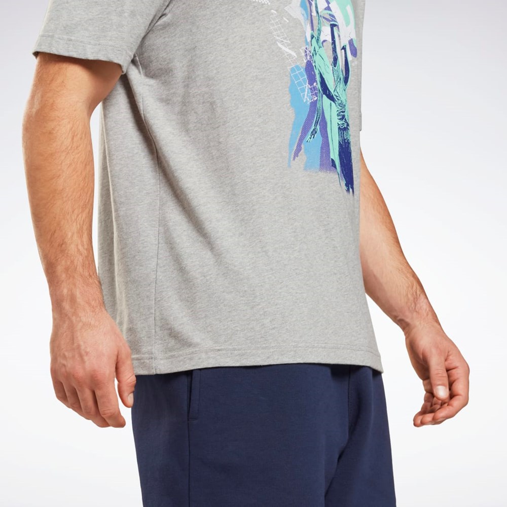 Reebok Grafiką Series T-Shirt Szare | UQOC-70314