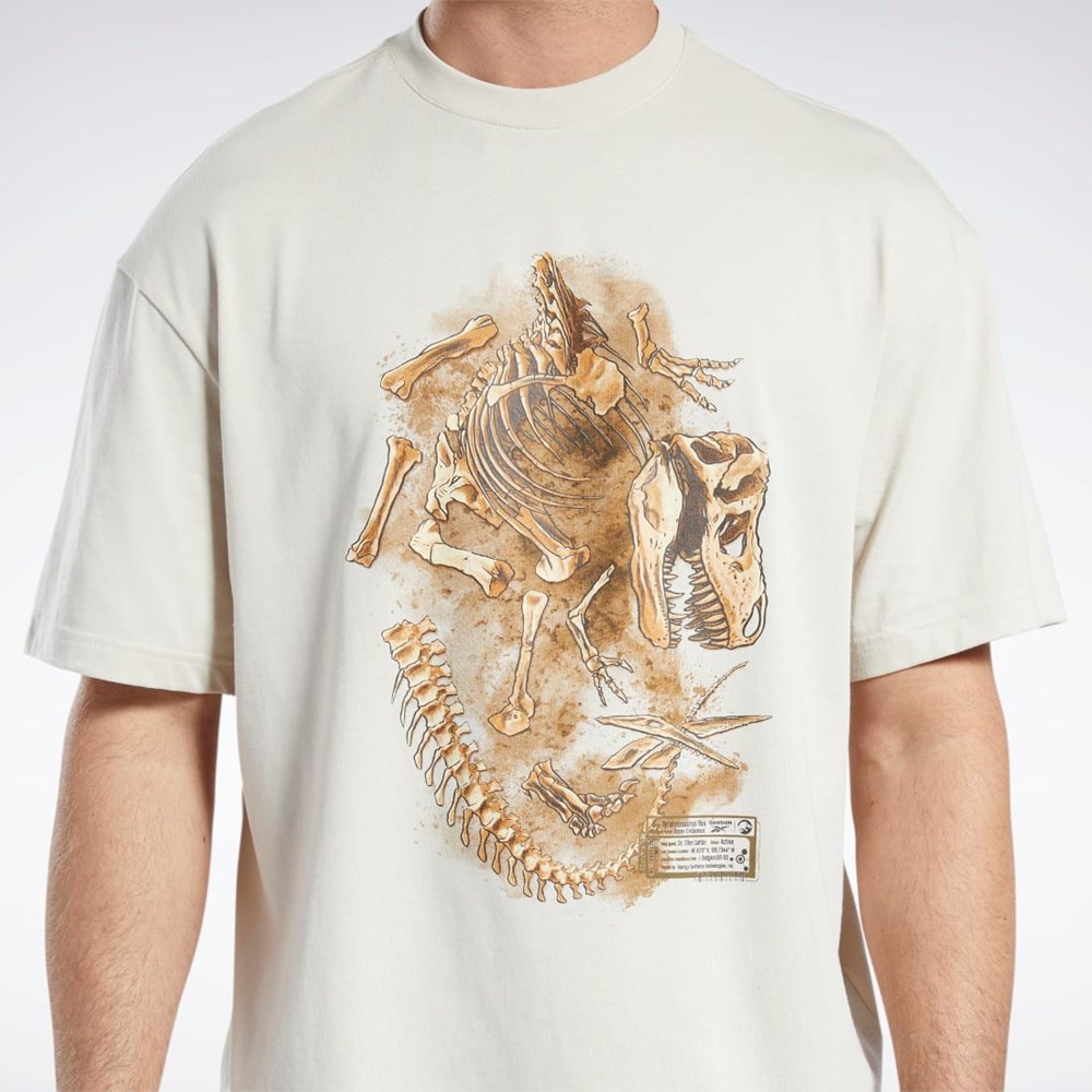 Reebok Jurassic World Fossil T-Shirt Stucco | DWIS-53860