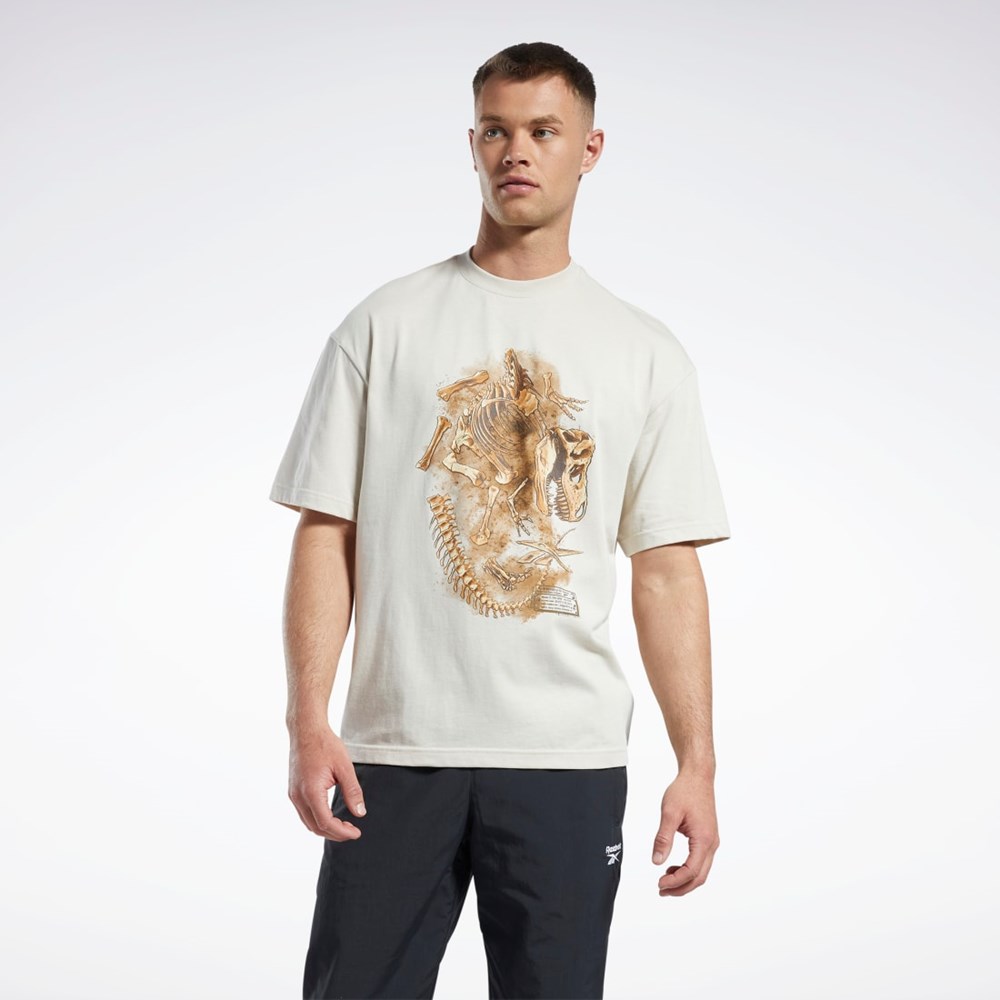 Reebok Jurassic World Fossil T-Shirt Stucco | DWIS-53860