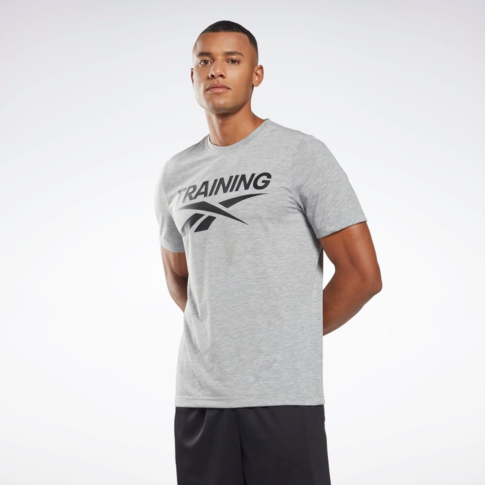 Reebok Reebok Grafiką Series T-Shirt Szare | ZHDT-87931