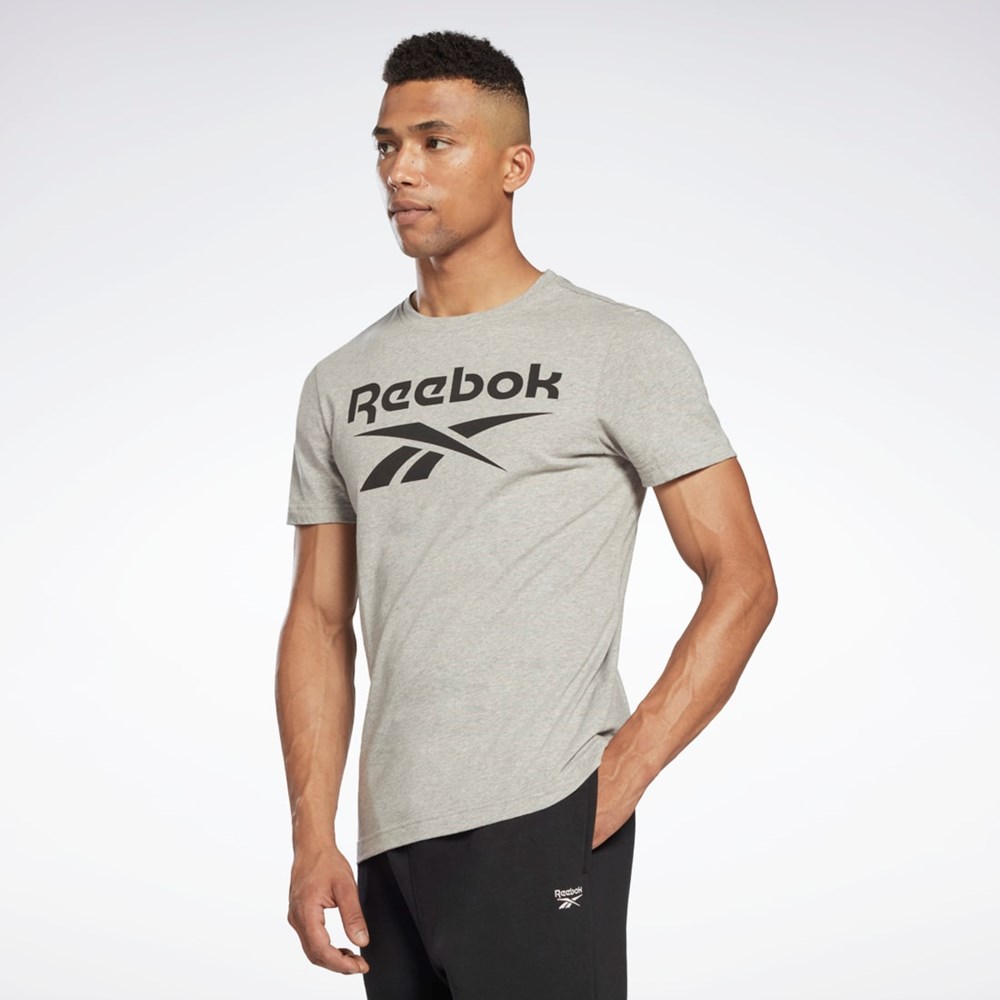 Reebok Reebok Identity Big Logo T-Shirt Szare | BIKJ-65903