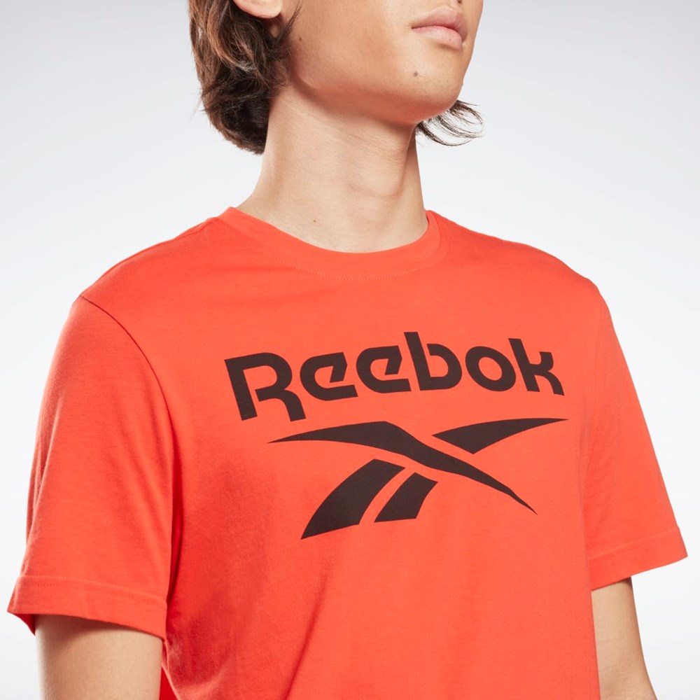 Reebok Reebok Identity Big Logo T-Shirt Czerwone | INKT-61428