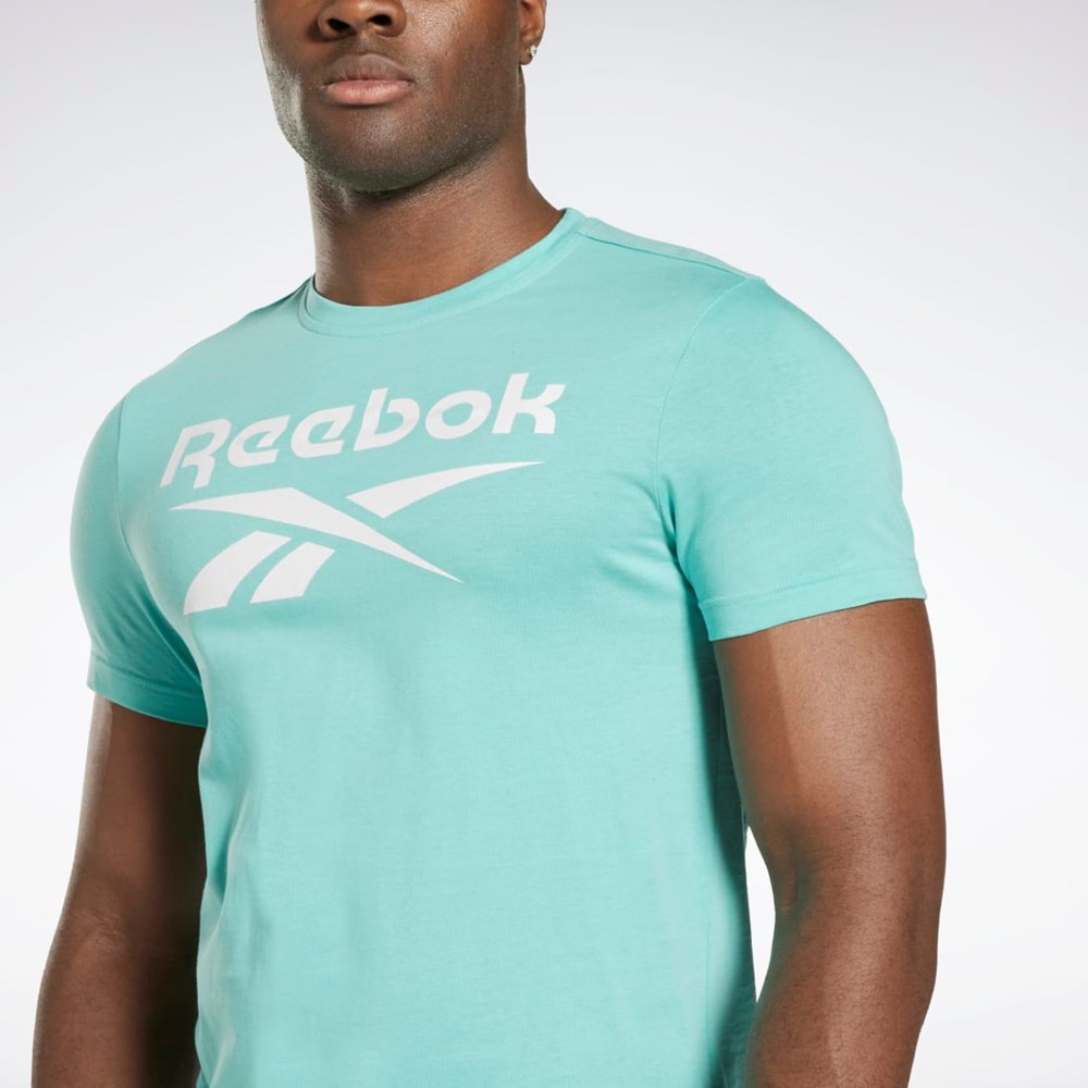 Reebok Reebok Identity Big Logo T-Shirt Semi Classic Teal | IVPO-73641