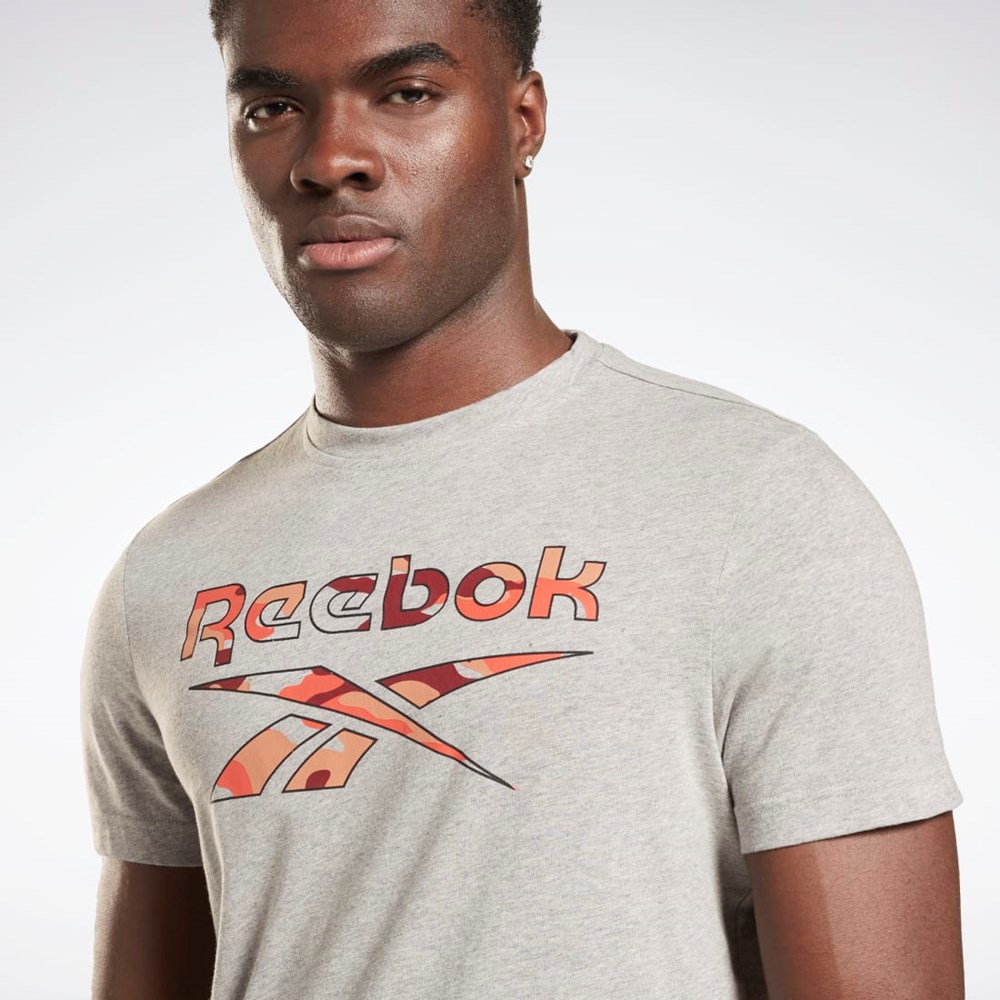 Reebok Reebok Identity Big Logo T-Shirt Szare | JIOC-18569