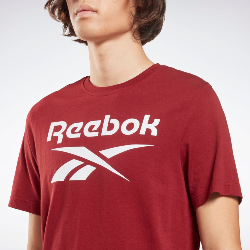 Reebok Reebok Identity Big Logo T-Shirt Bordowe | LAHZ-90412