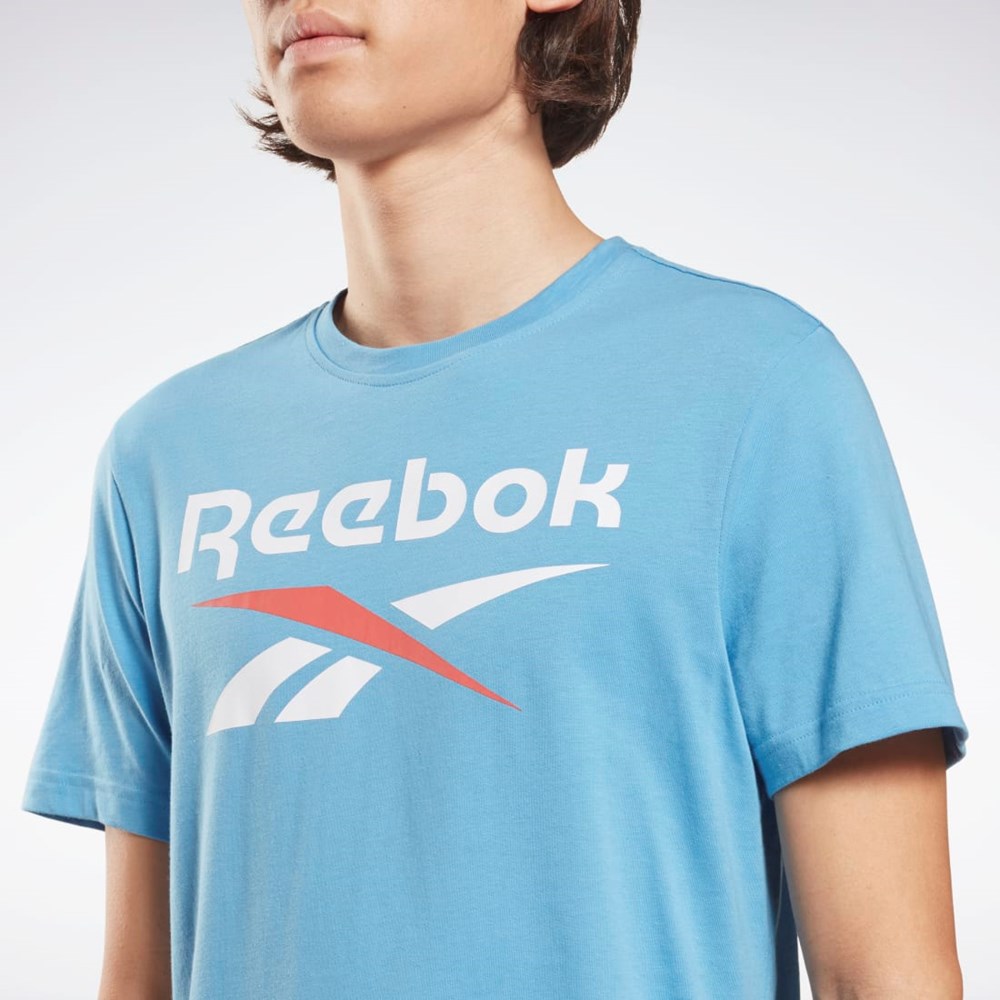 Reebok Reebok Identity Big Logo T-Shirt Niebieskie | UYFK-53902