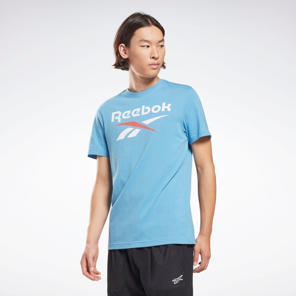 Reebok Reebok Identity Big Logo T-Shirt Niebieskie | UYFK-53902