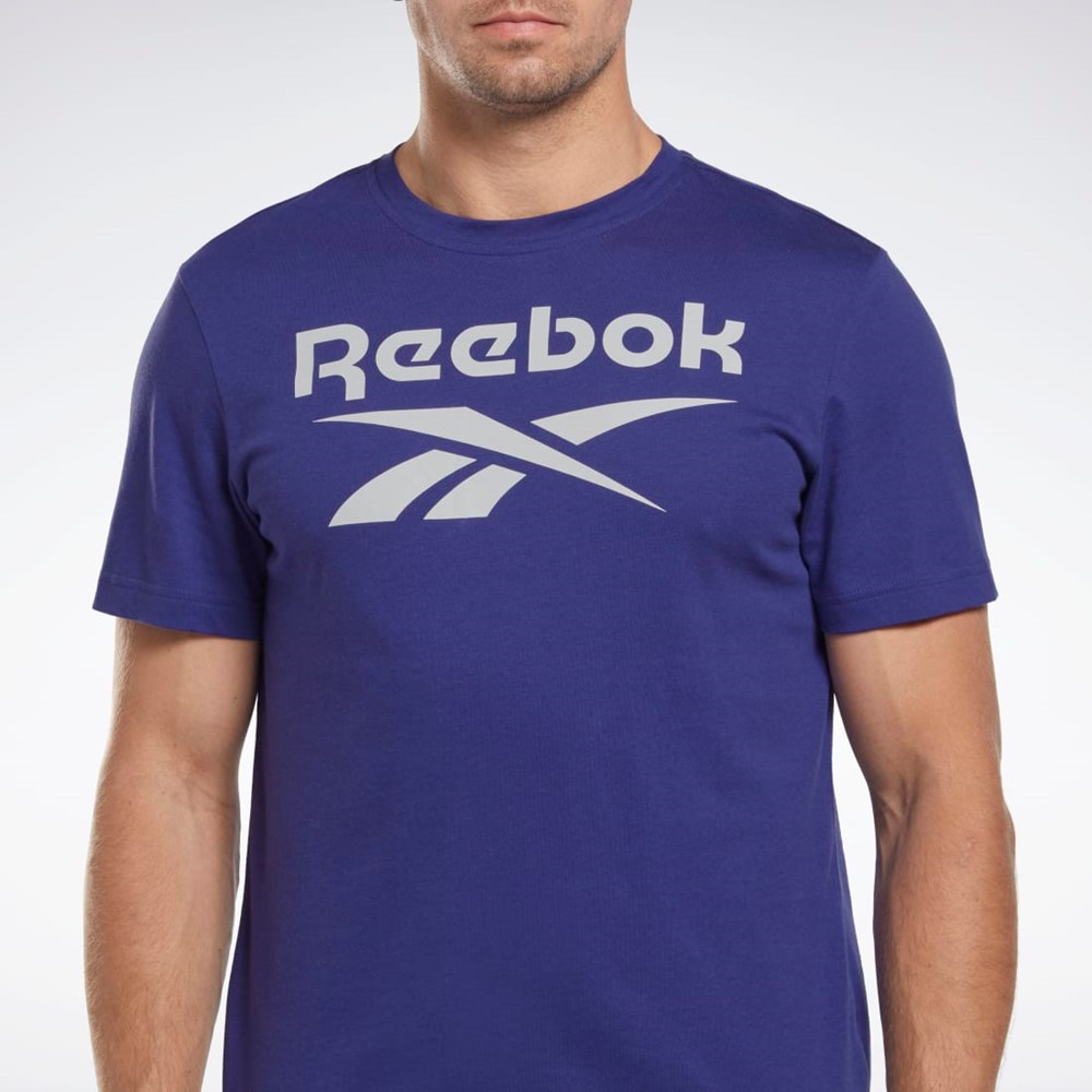 Reebok Reebok Identity Big Logo T-Shirt Fioletowe | YCGK-40762