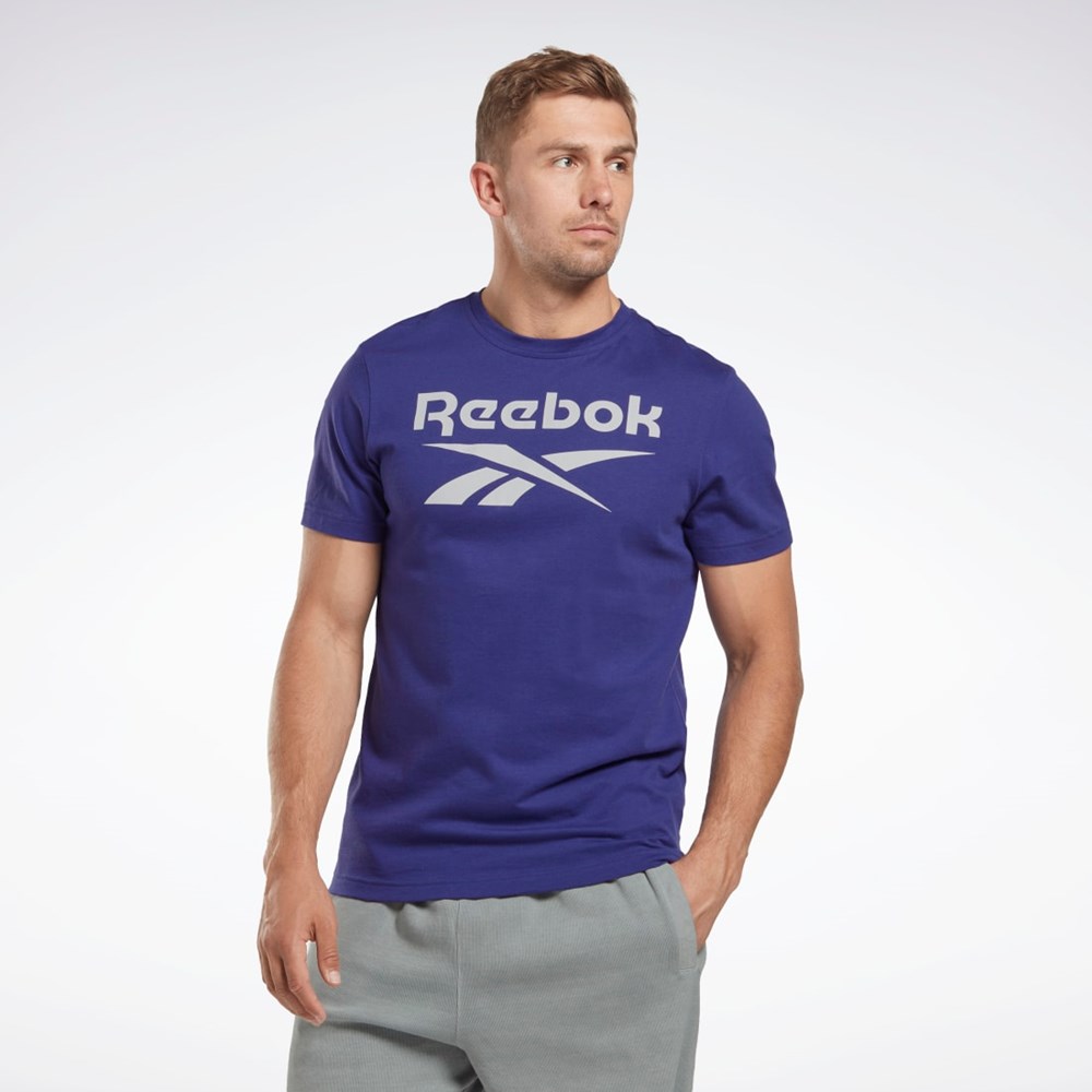 Reebok Reebok Identity Big Logo T-Shirt Fioletowe | YCGK-40762