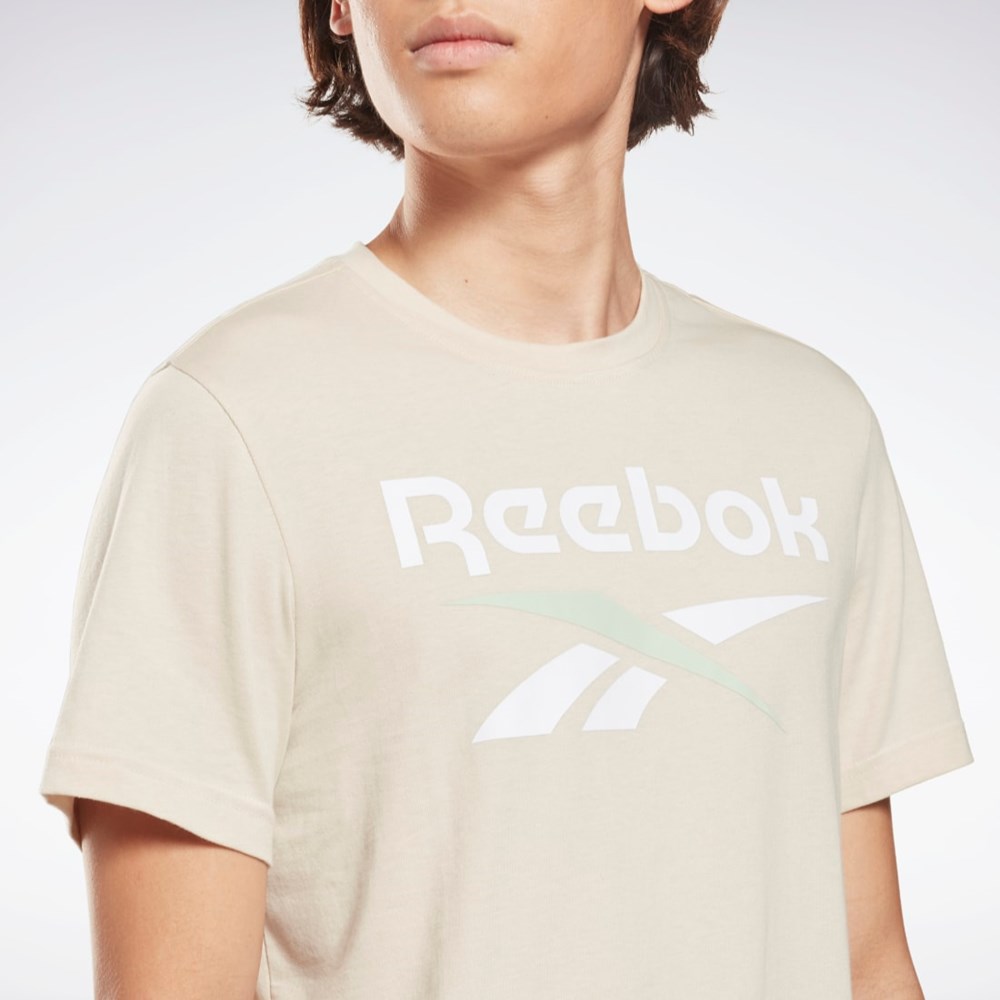 Reebok Reebok Identity Big Logo T-Shirt Stucco | ZEKG-57896