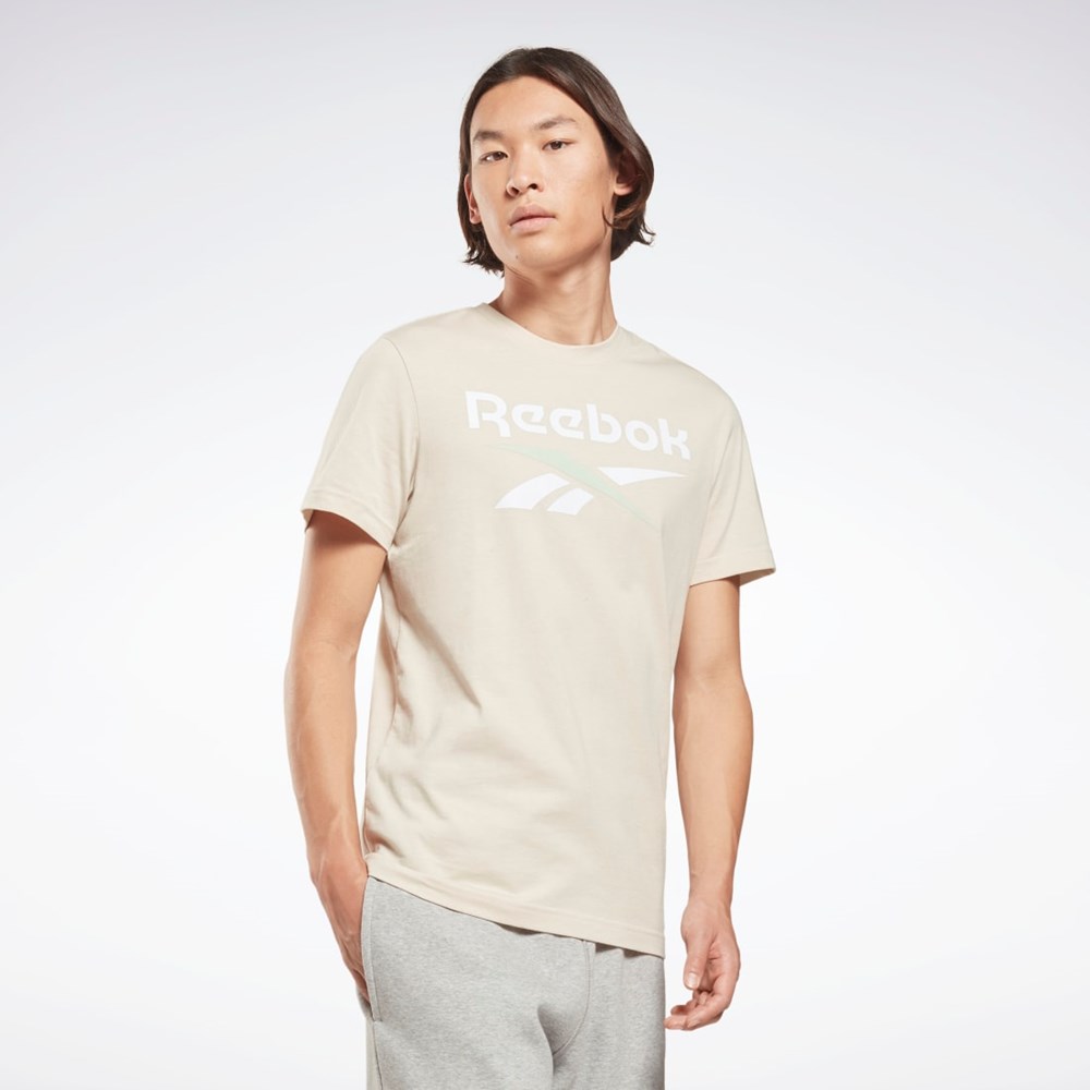 Reebok Reebok Identity Big Logo T-Shirt Stucco | ZEKG-57896