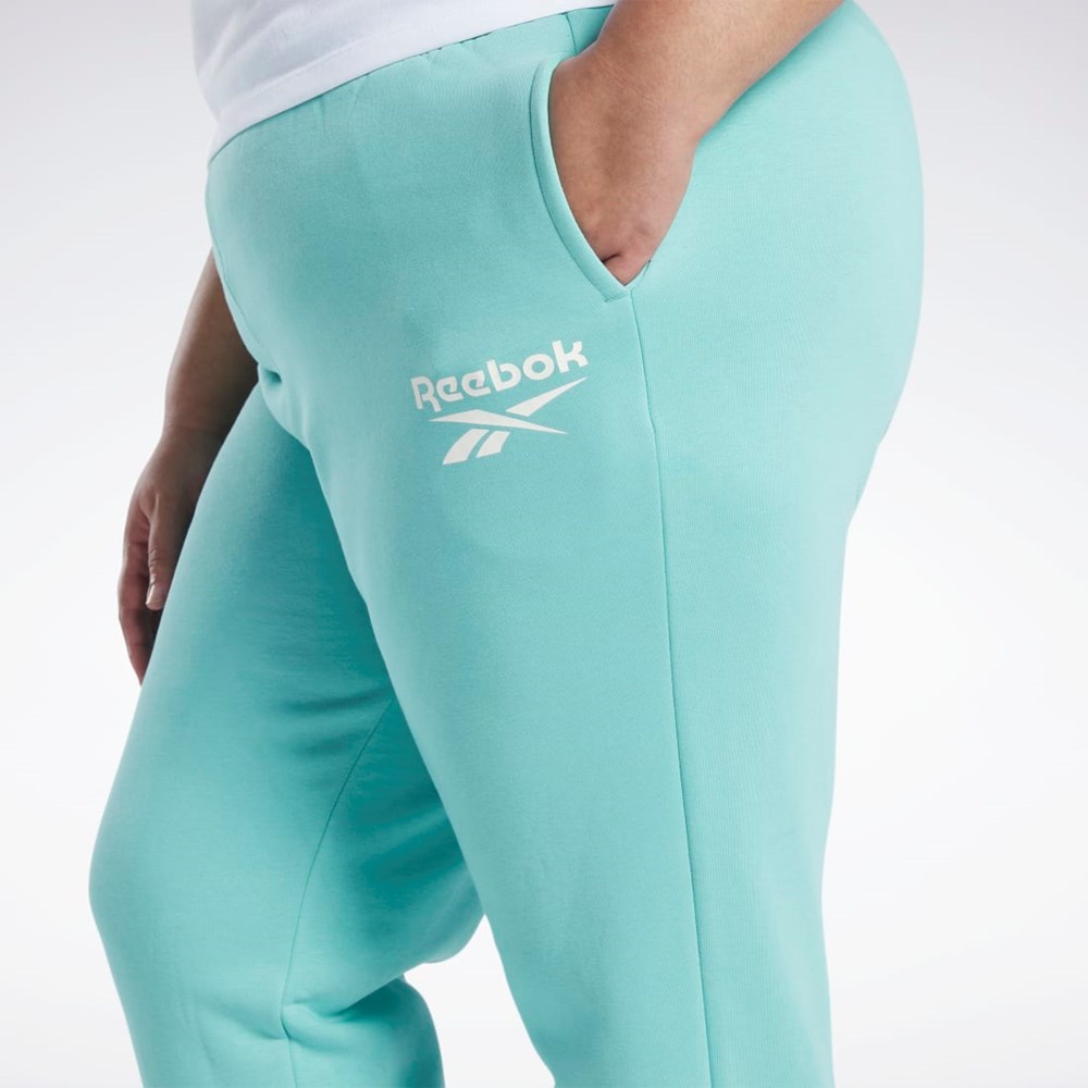 Reebok Reebok Identity Logo Fleece Joggers (Plus Size) Semi Classic Teal | KQOH-70962