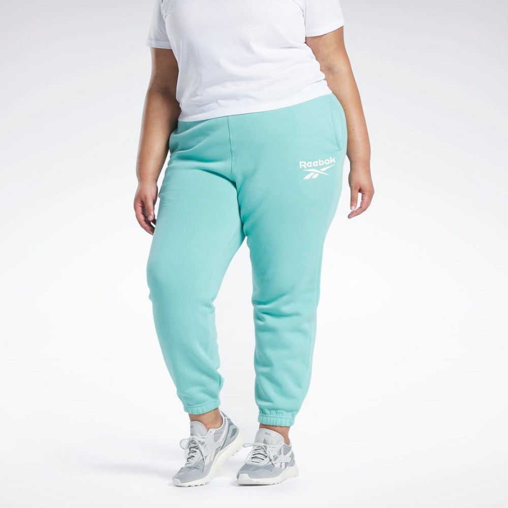 Reebok Reebok Identity Logo Fleece Joggers (Plus Size) Semi Classic Teal | KQOH-70962