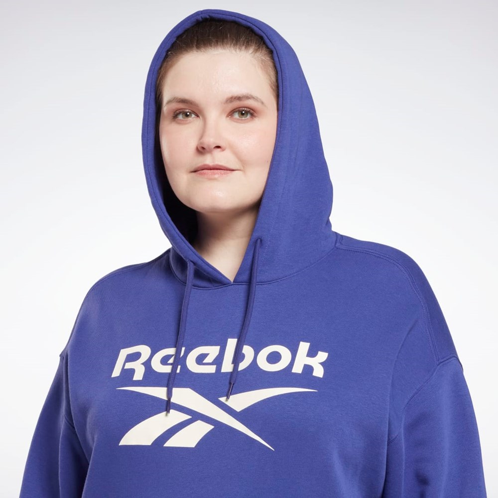 Reebok Reebok Identity Logo Fleece Pullover Hoodie (Plus Size) Fioletowe | KAFG-30769