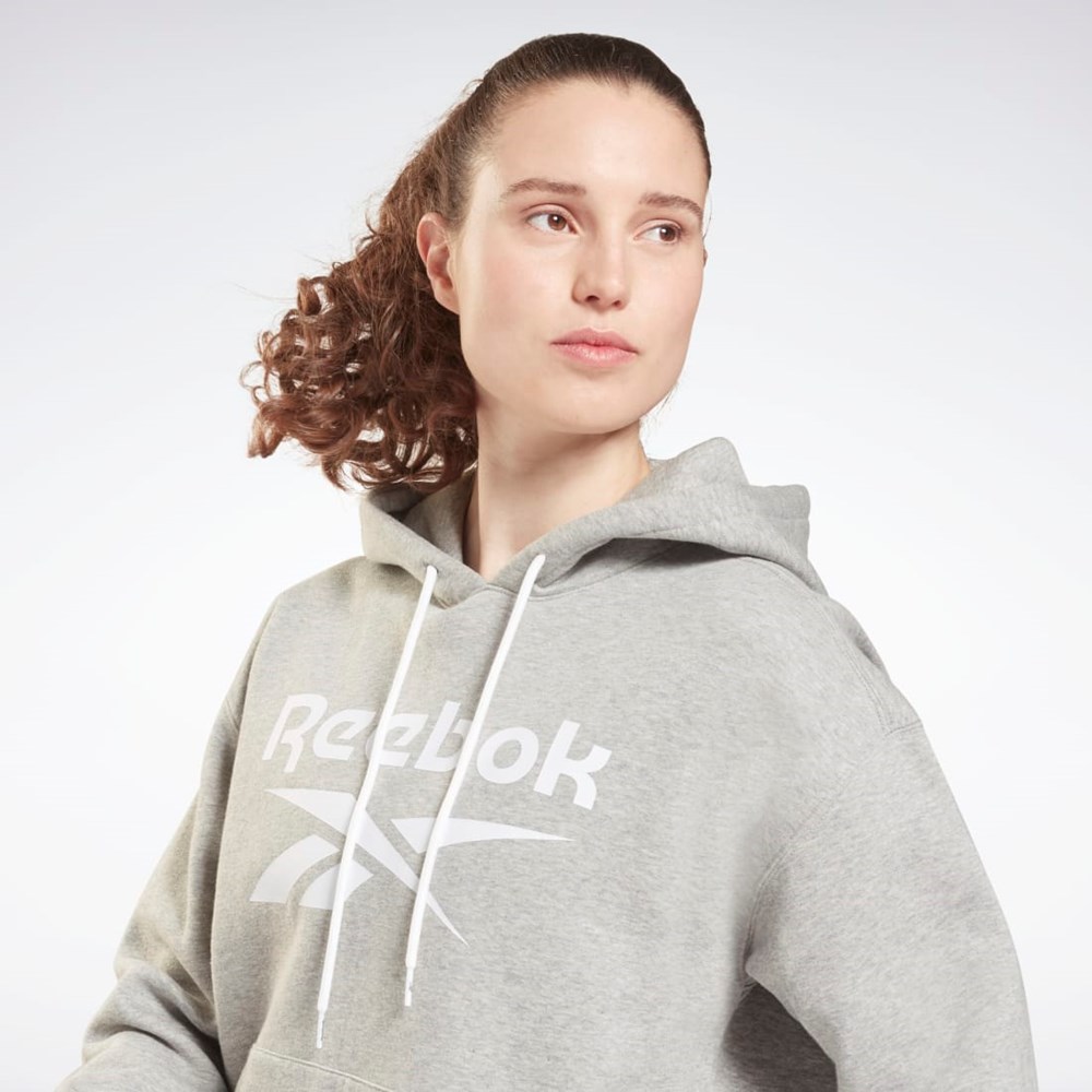 Reebok Reebok Identity Logo Fleece Pullover Hoodie Szare | SPUZ-80759