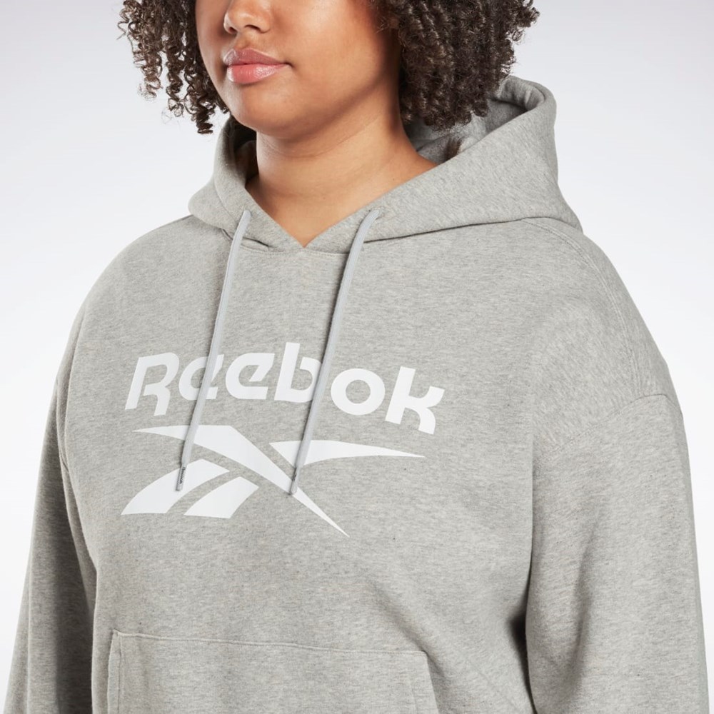 Reebok Reebok Identity Logo Fleece Pullover Hoodie (Plus Size) Szare | ZBAF-97058