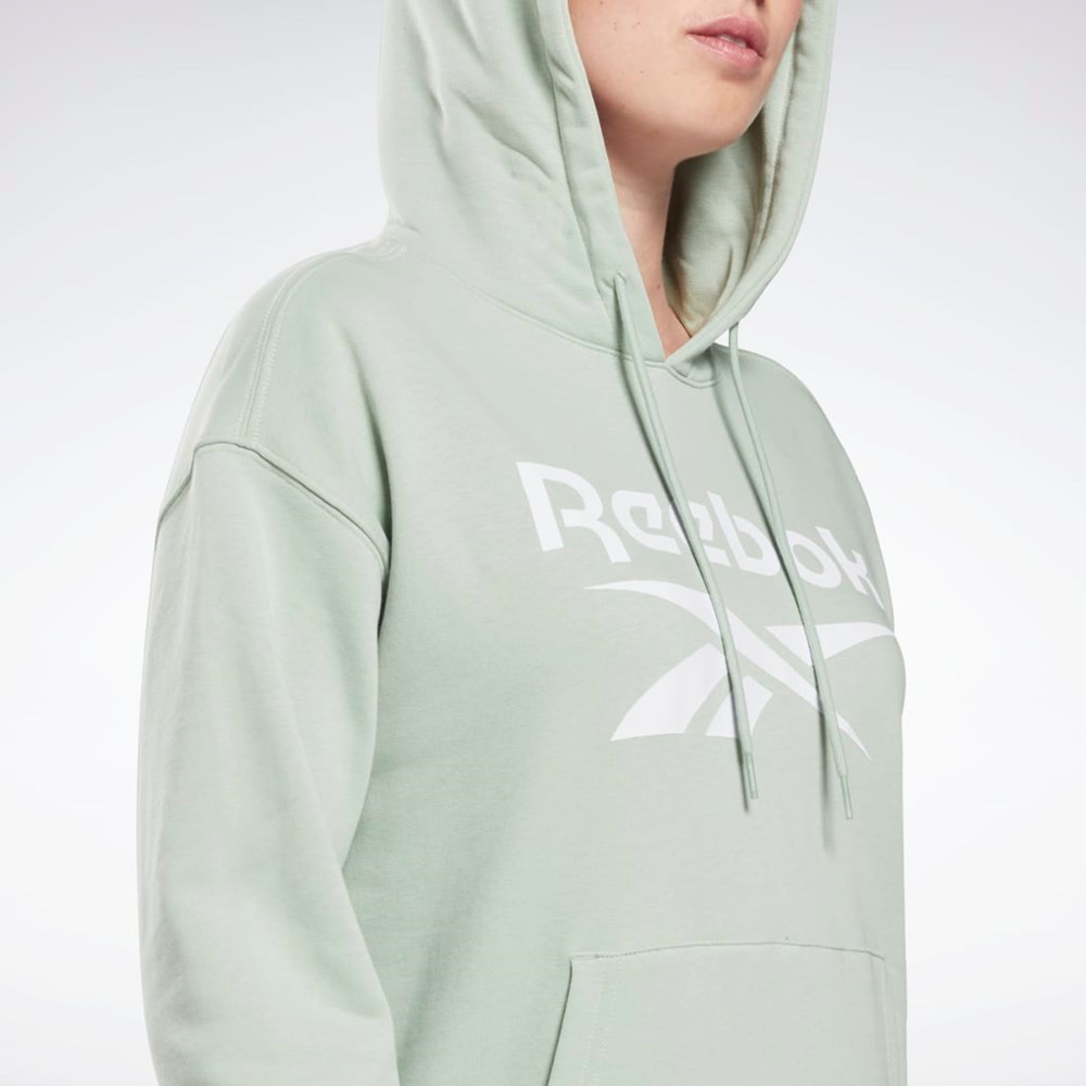 Reebok Reebok Identity Logo French Terry Hoodie Głęboka | JSPT-80142