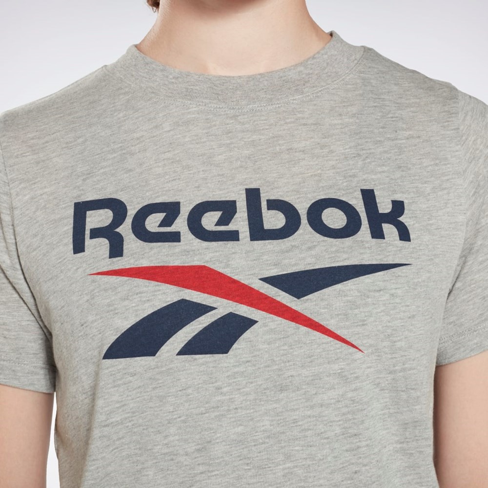 Reebok Reebok Identity Logo T-Shirt Szare | GMHE-31804