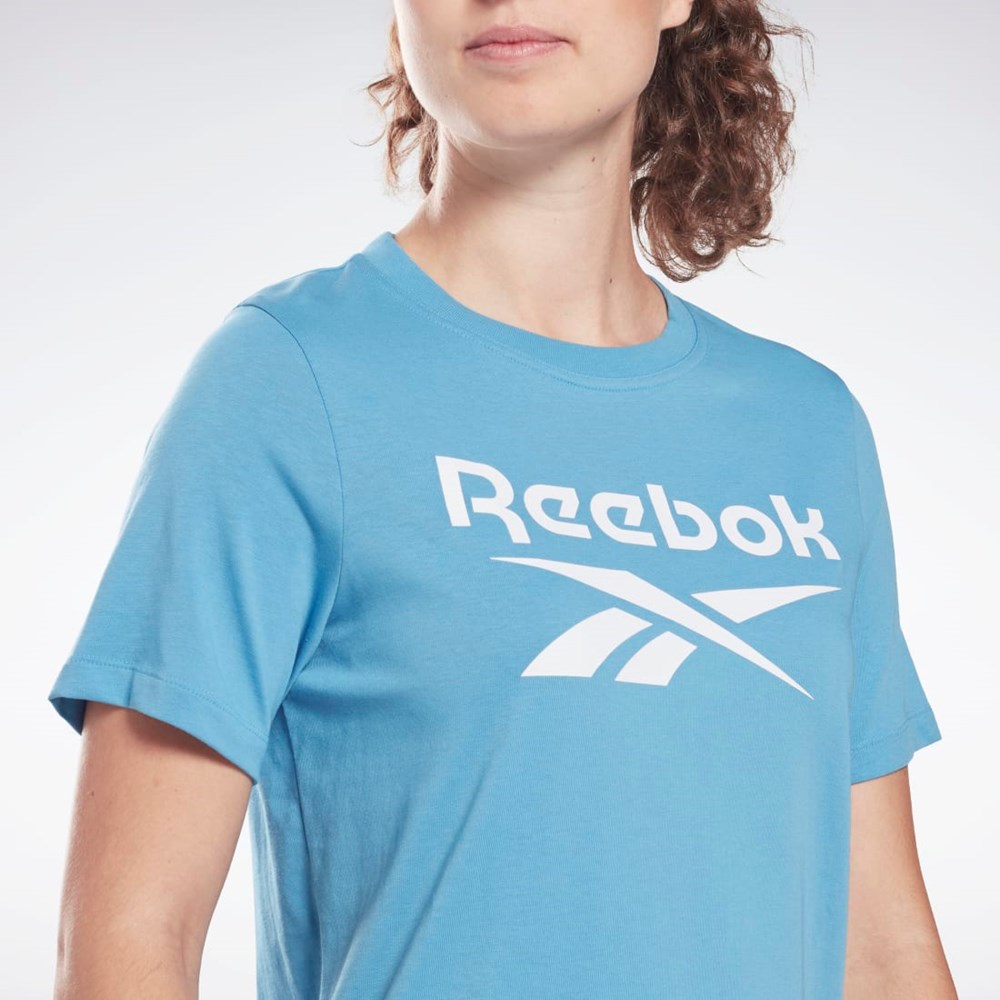 Reebok Reebok Identity T-Shirt Niebieskie | QXJV-49230