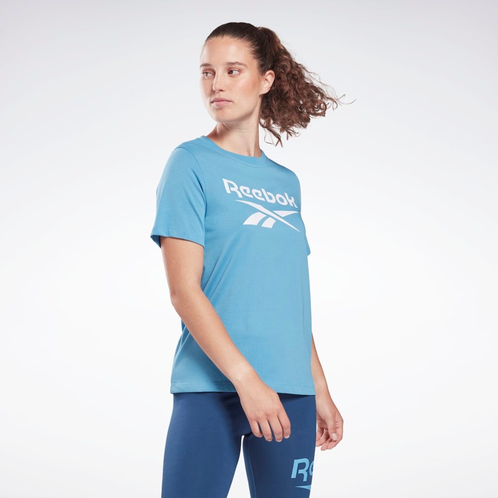 Reebok Reebok Identity T-Shirt Niebieskie | QXJV-49230