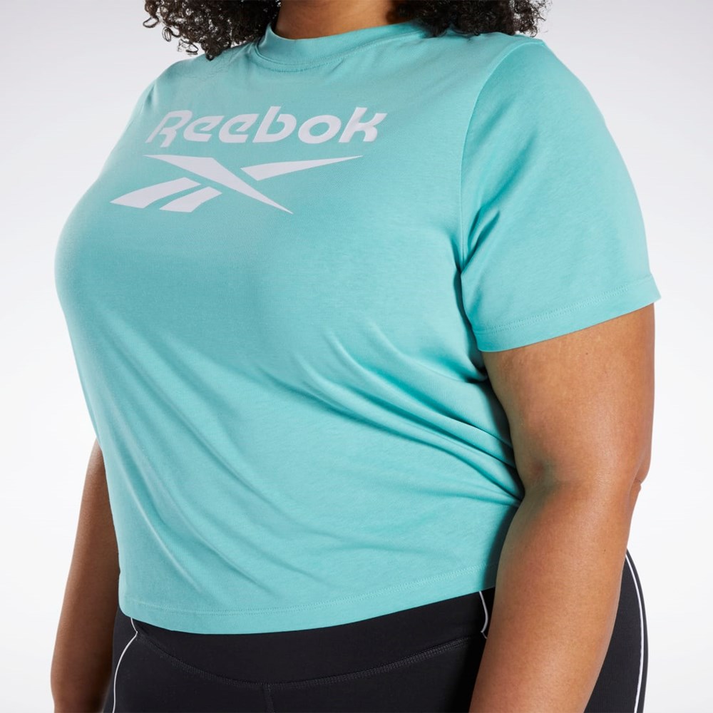 Reebok Reebok Identity T-Shirt (Plus Size) Semi Classic Teal | HAWF-69482