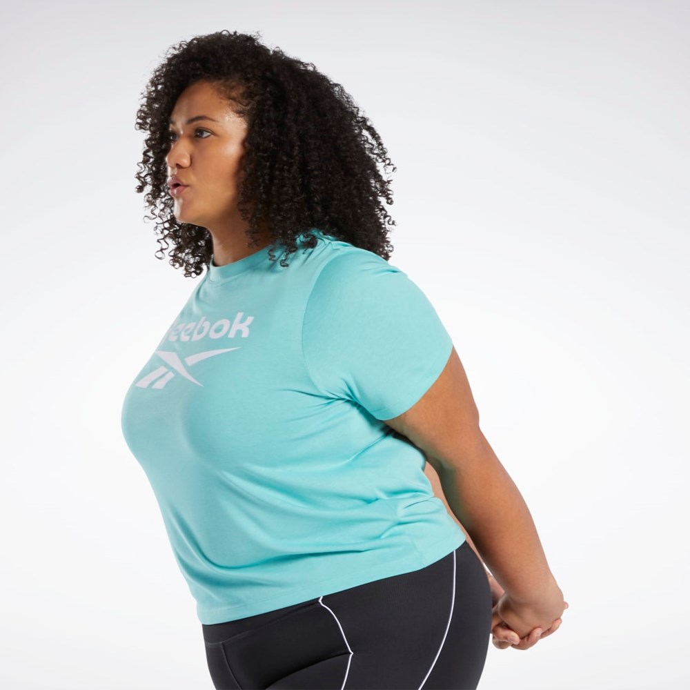 Reebok Reebok Identity T-Shirt (Plus Size) Semi Classic Teal | HAWF-69482