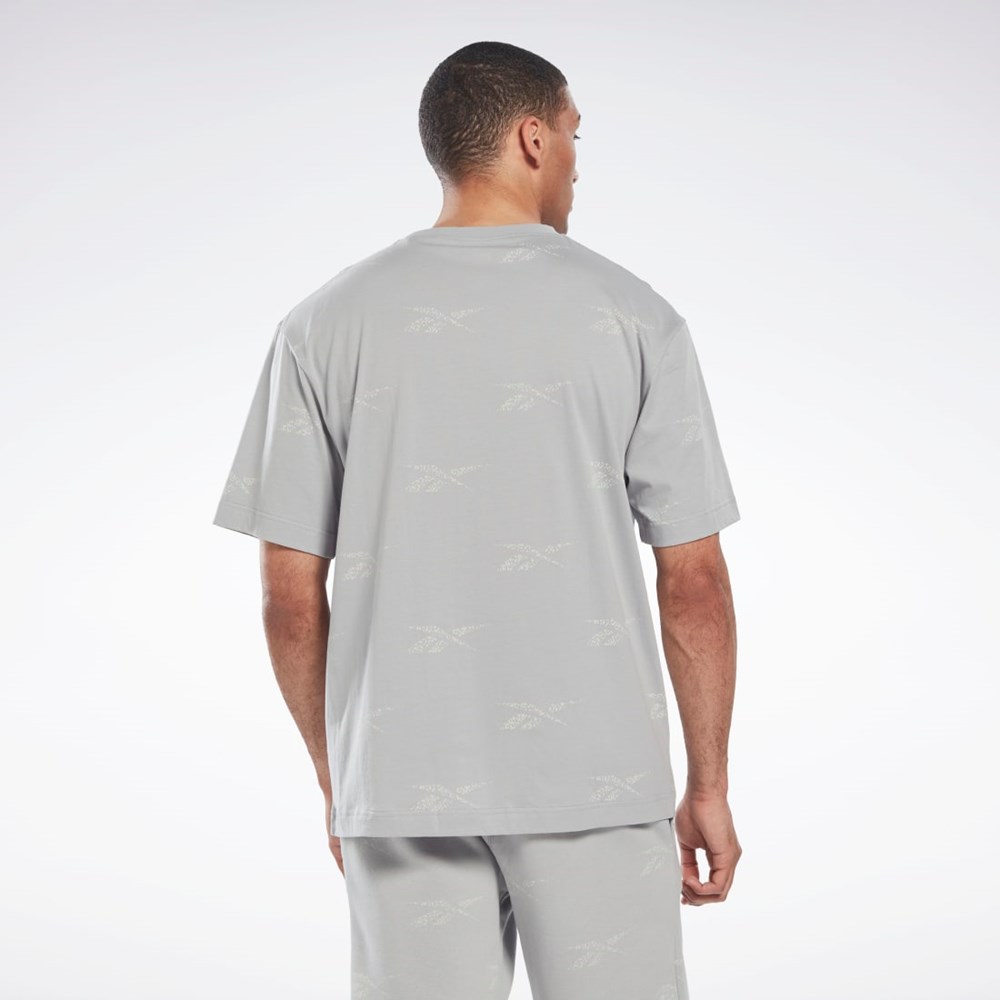 Reebok Reebok Identity Vector T-Shirt Szare | ECFS-47891