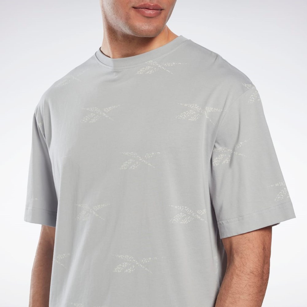 Reebok Reebok Identity Vector T-Shirt Szare | ECFS-47891