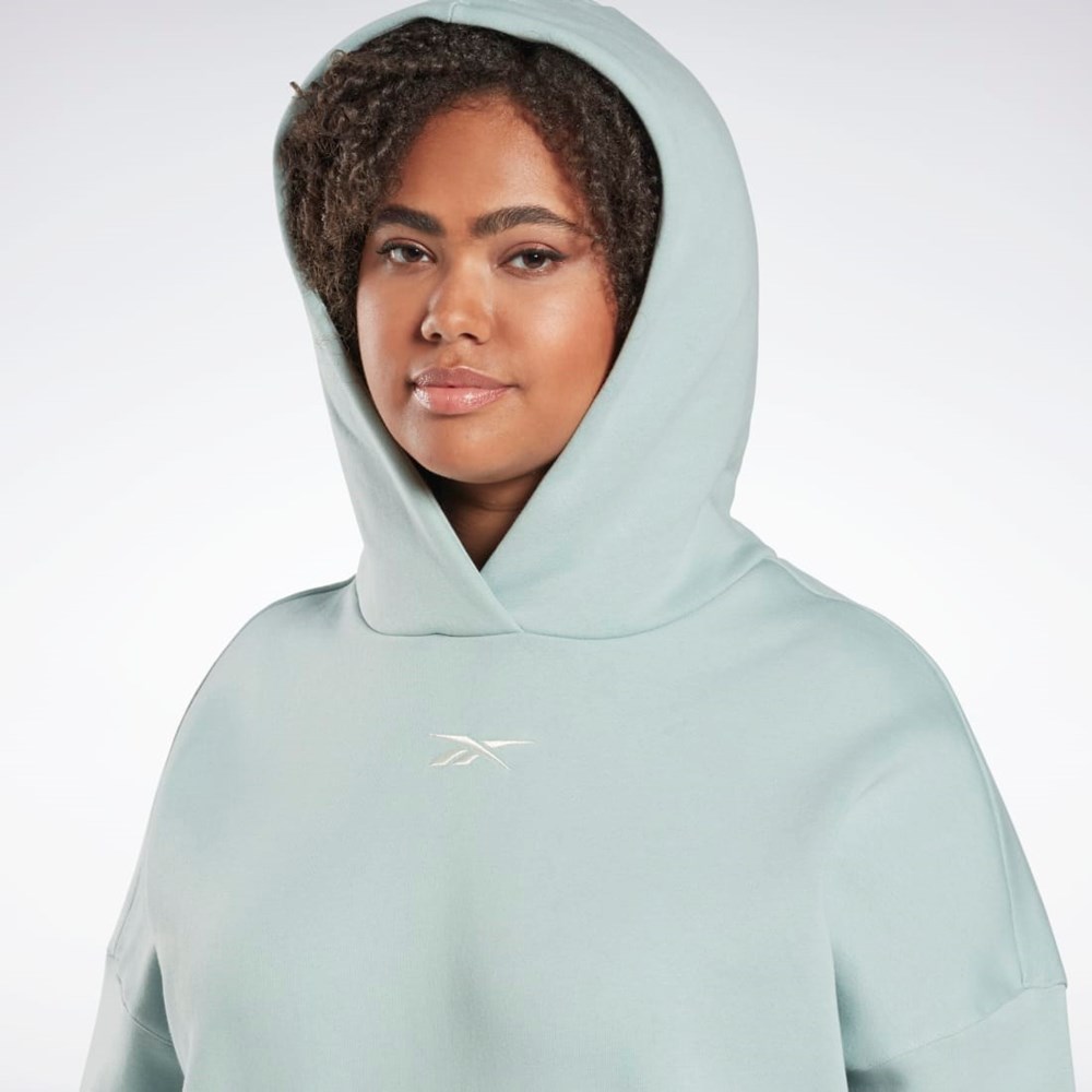 Reebok Studio Recycled Oversize Hoodie (Plus Size) Szare | GQPD-39150