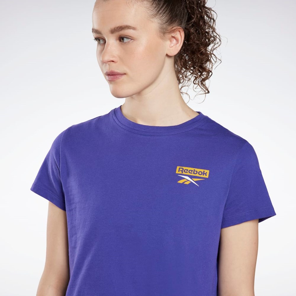 Reebok Treningowe Essentials Grafiką T-Shirt Fioletowe | NERH-97854